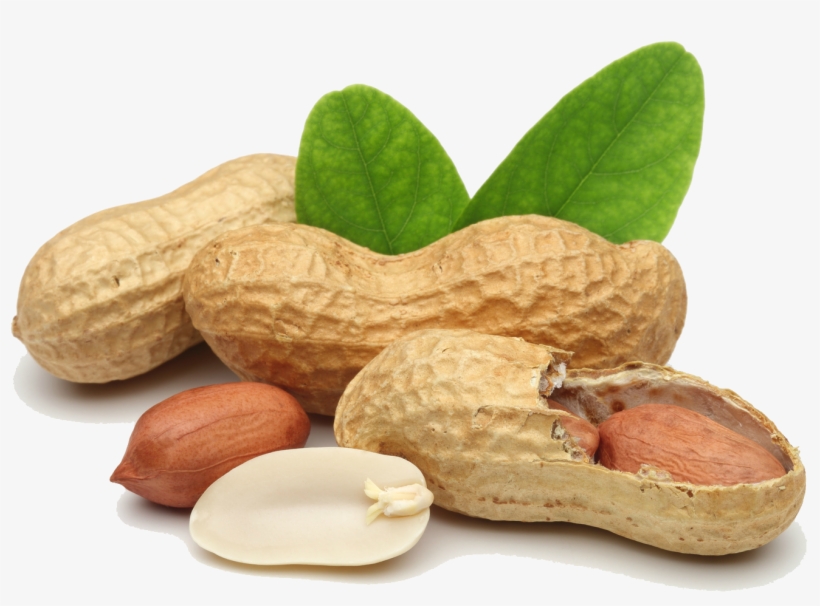 Peanut Free Png Image - Transparent Peanuts Png, transparent png download