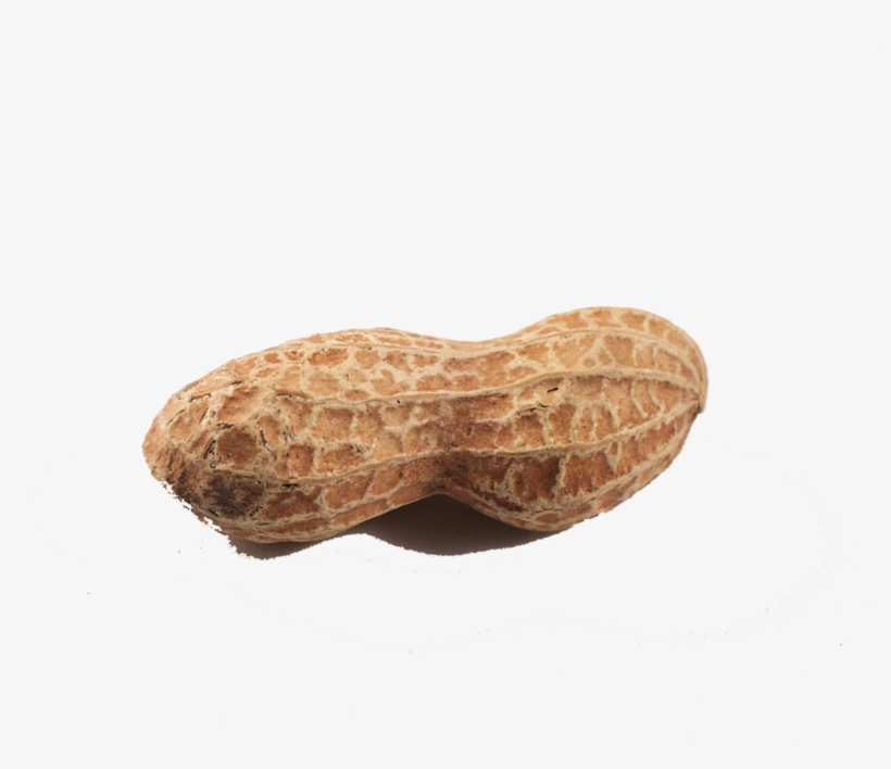 Transparent Peanut Background - Peanut Png, transparent png download