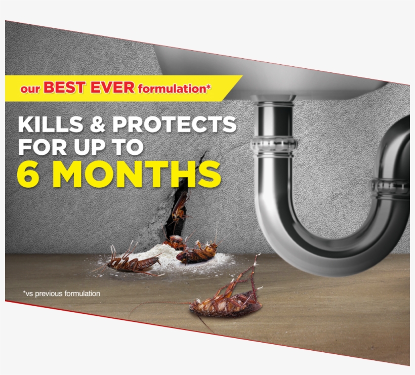 Crawling Insect Killer Powder 100g, transparent png download