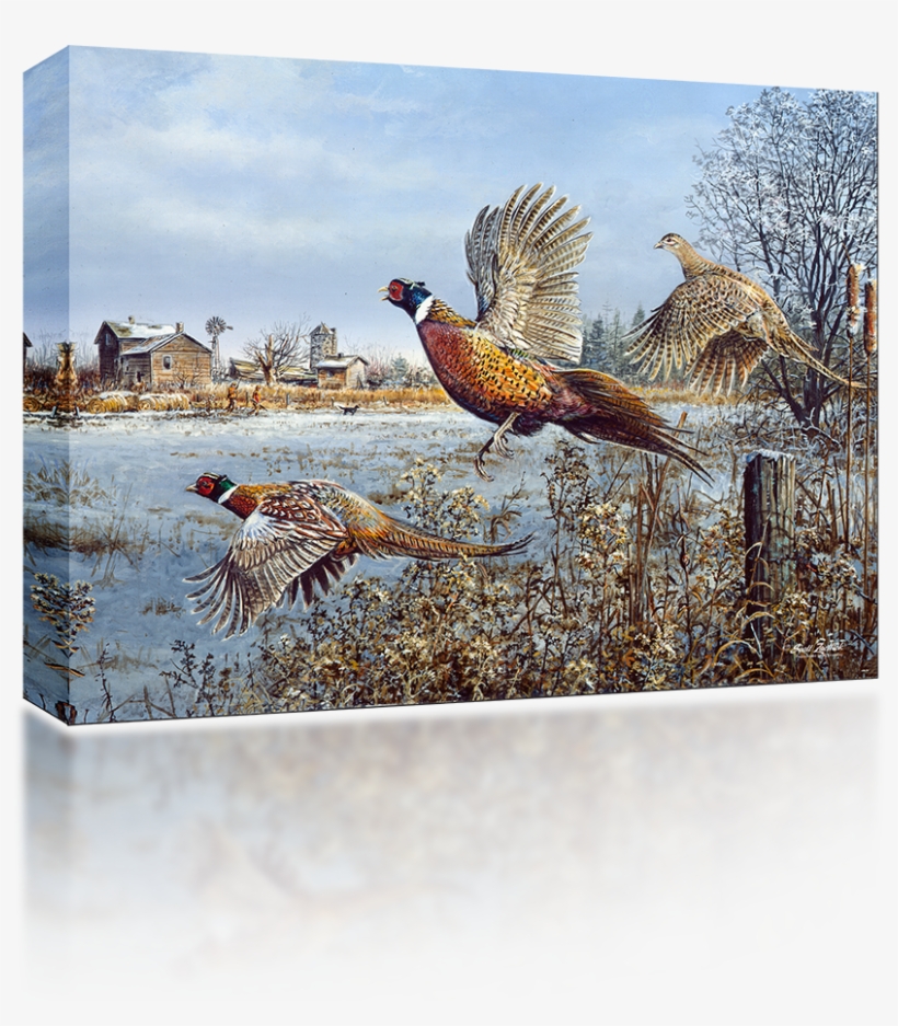 Pheasant Png, transparent png download