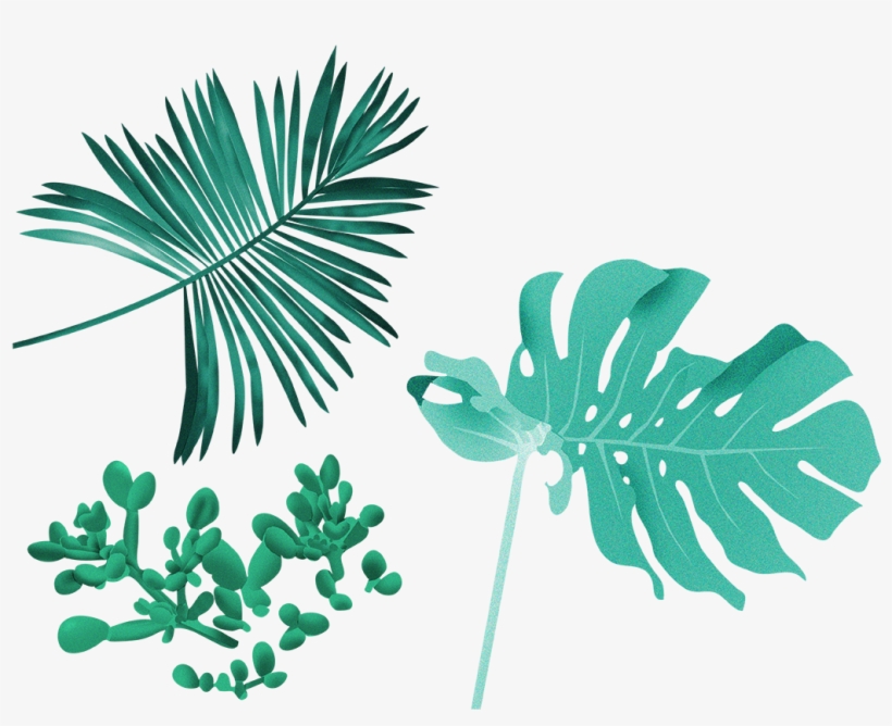 “ Illustrations For The Film Womens Power To Stop War, transparent png download