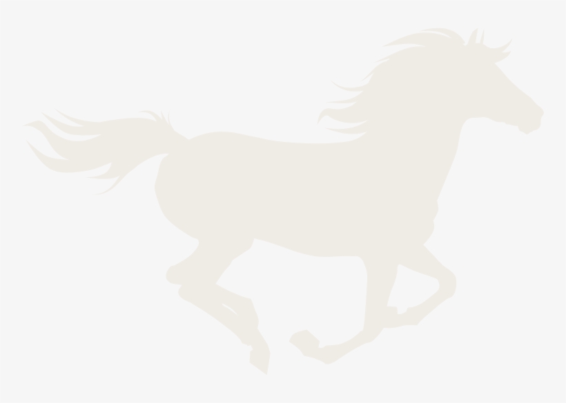 Friends Of A Legacy, transparent png download