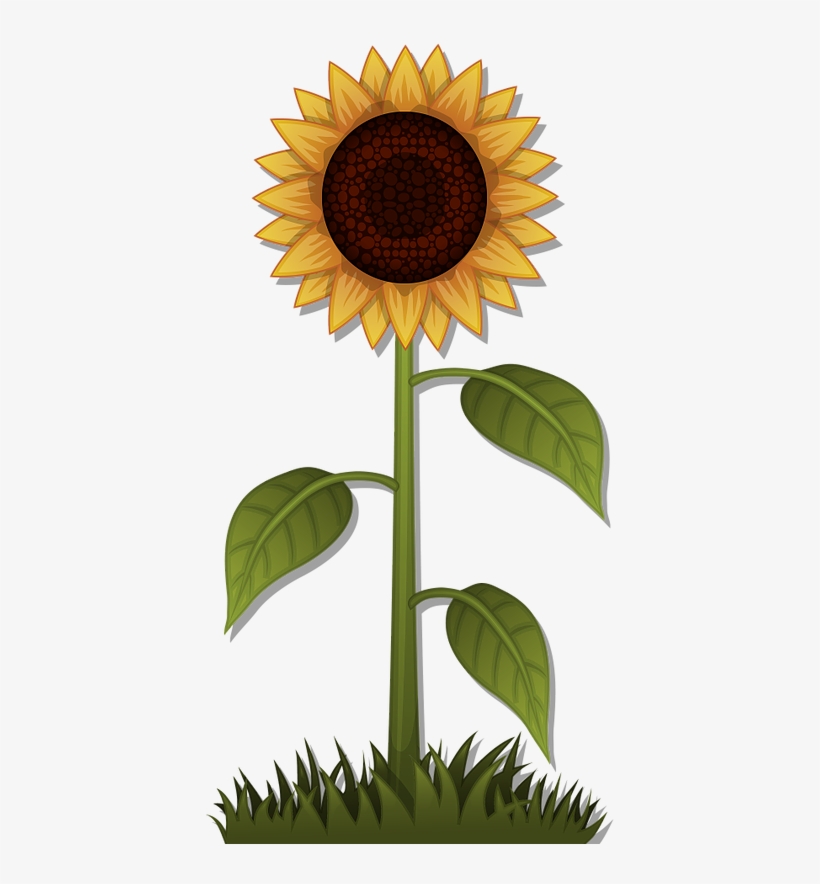 Update Minecraft, transparent png download