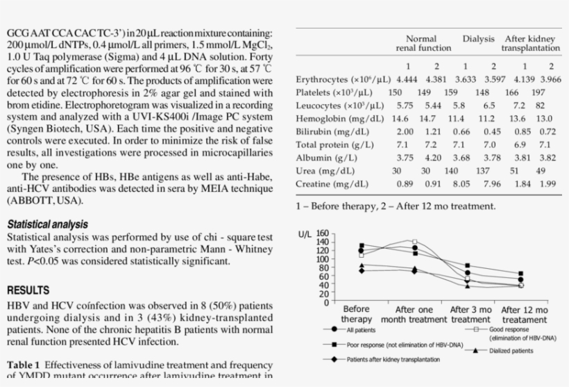 Alt Activity In Patients With Chronic Hbv Infection, transparent png download