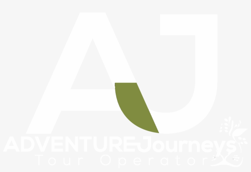 Ata White, transparent png download