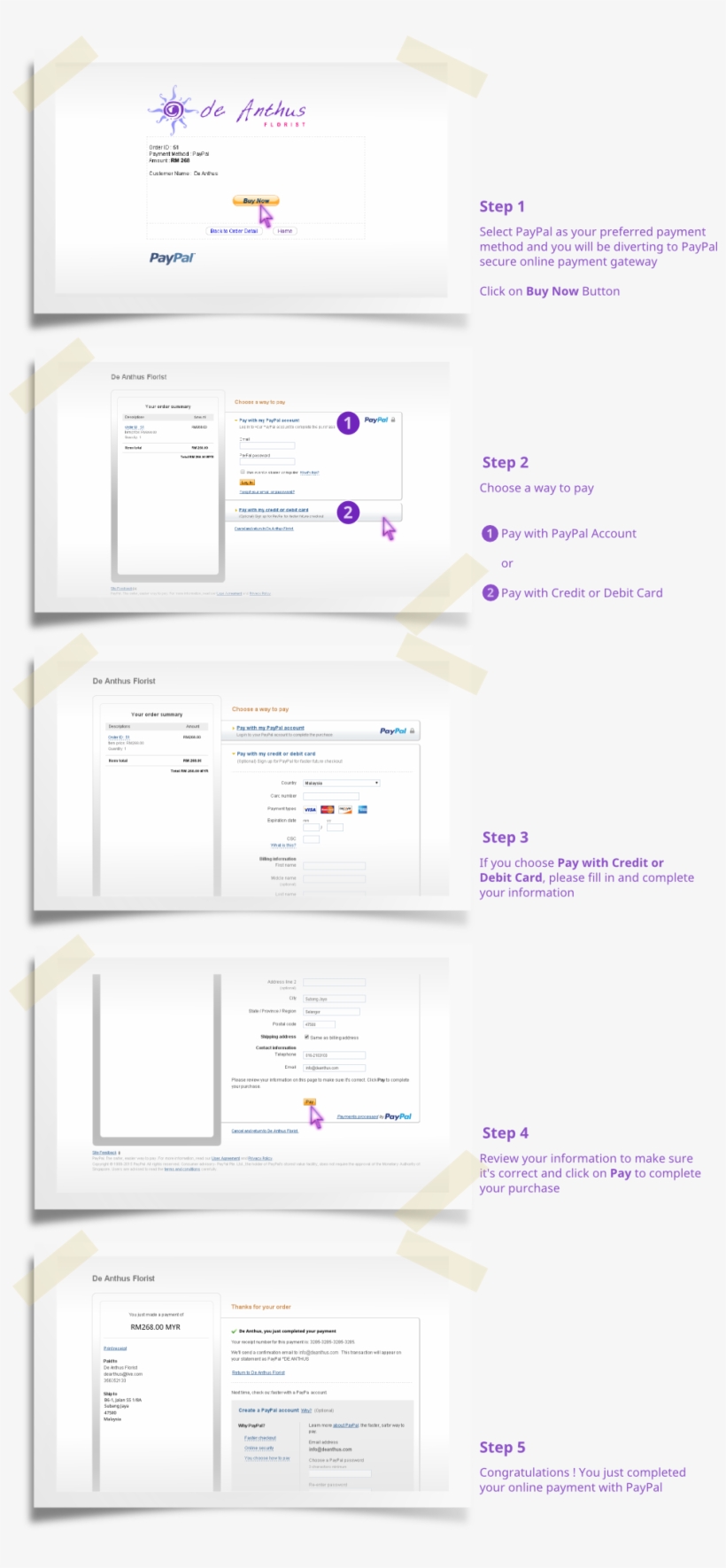 Paypal Credit Card Png, transparent png download