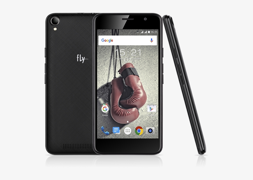 Fly Knockout, transparent png download