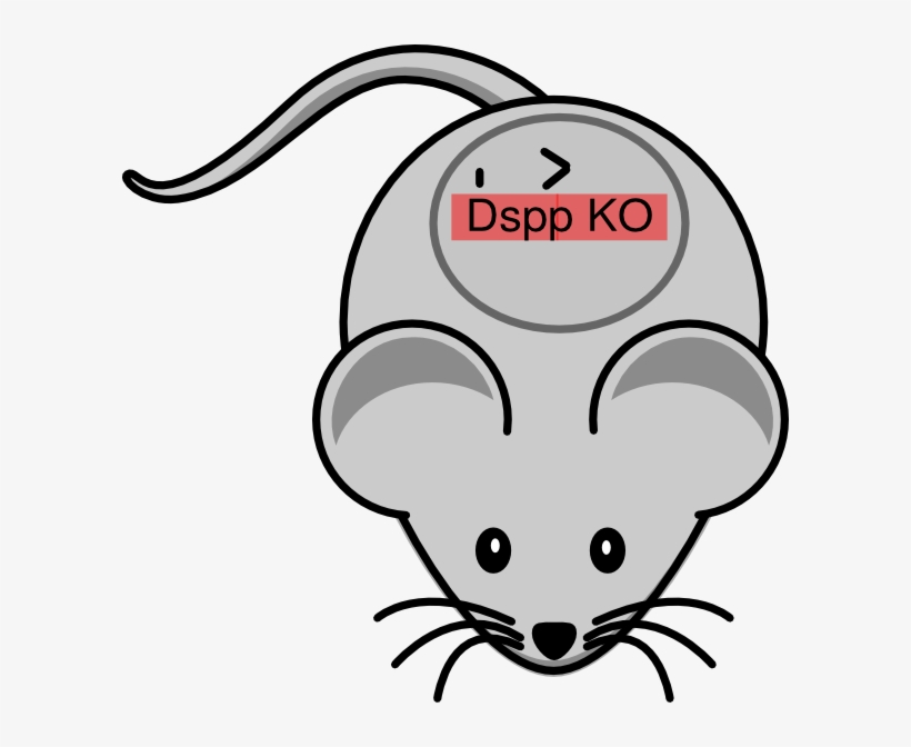 Dspp Knockout Clip Art At Clker, transparent png download