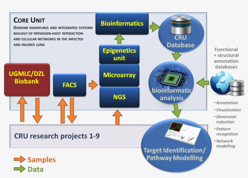 Envisioned To Establish Algorithms To Systematically, transparent png download