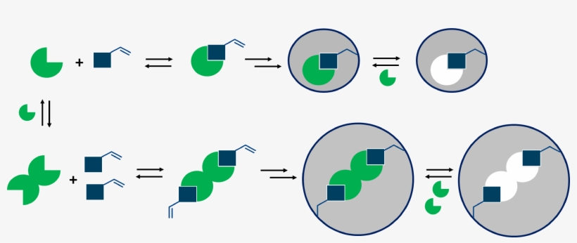 Finally, The Computational Data Were Used To Find The, transparent png download
