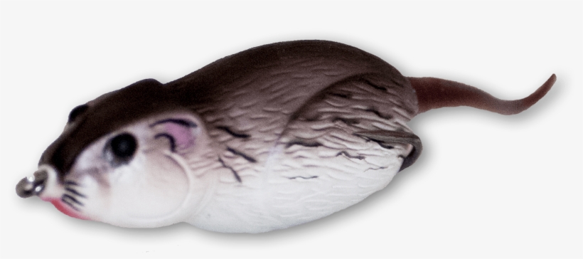 Field Brown, transparent png download