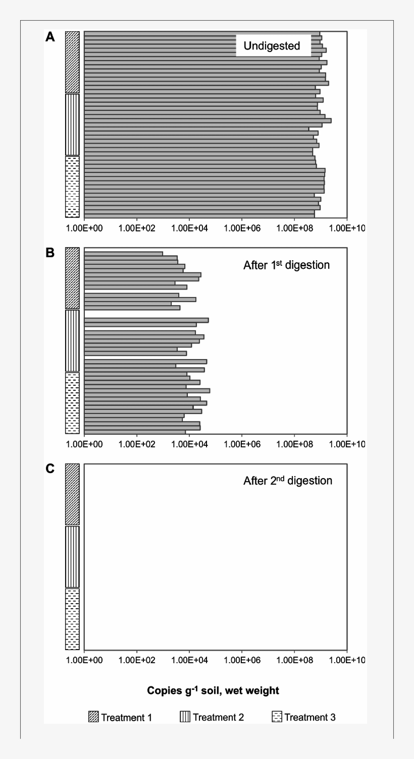 Removal Of Gdna By Consecutive Dnase Digestions Of, transparent png download