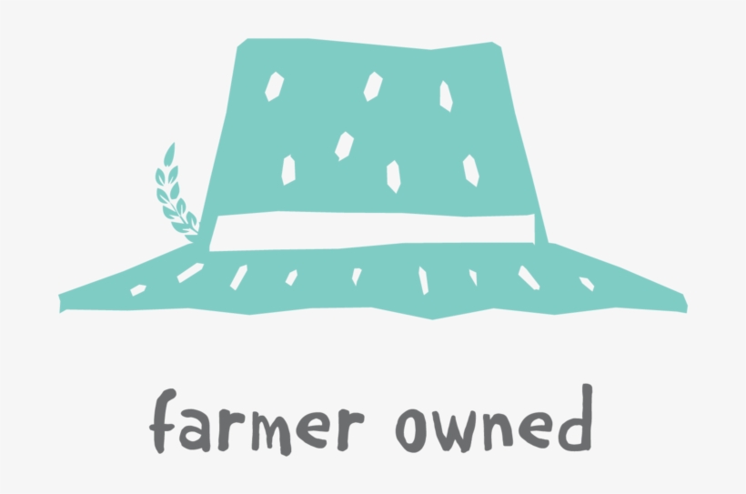 Okfood Hub - Features - Icons - Smartboards Artboard, transparent png download