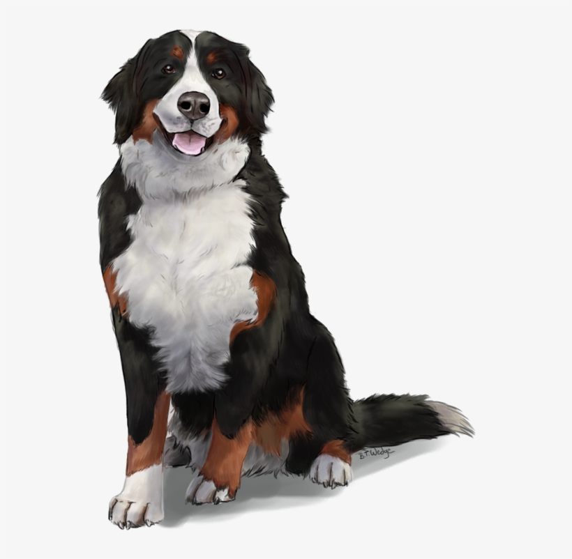 Vertical Divider, transparent png download