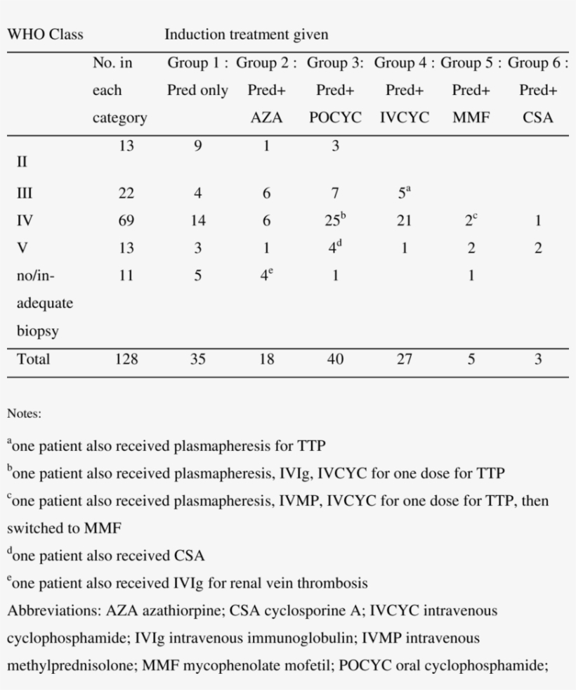 Initial Induction Treatment Given To 128 Chinese Children, transparent png download