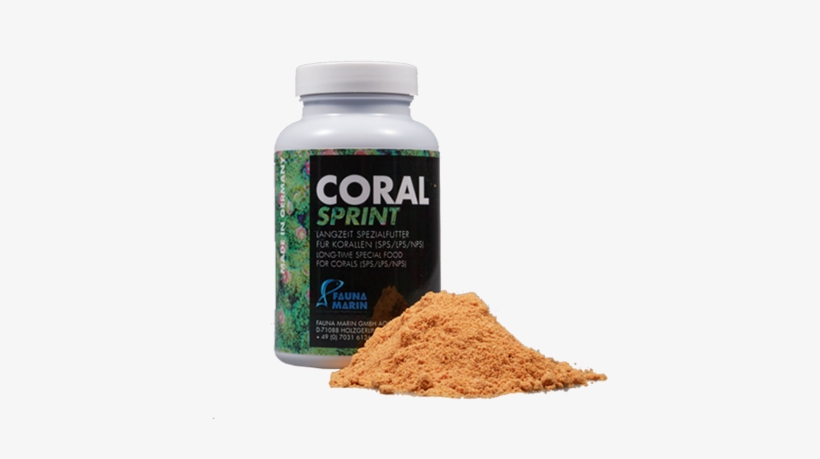 Fauna Marin Coral Sprint, transparent png download
