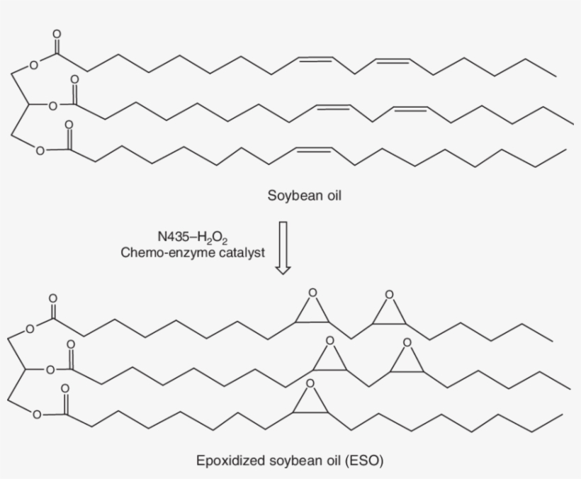 2 Synthesis Of Eso From Soybean Oil Via A Chemo-enzyme, transparent png download