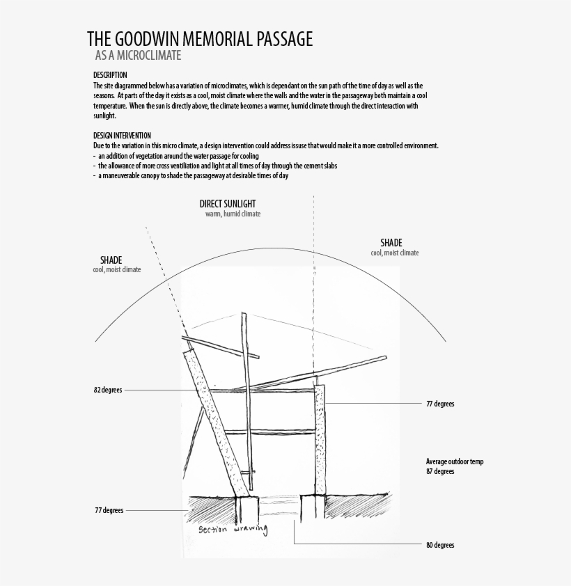 Microclimate As Part Of The Surrounding Environment, transparent png download