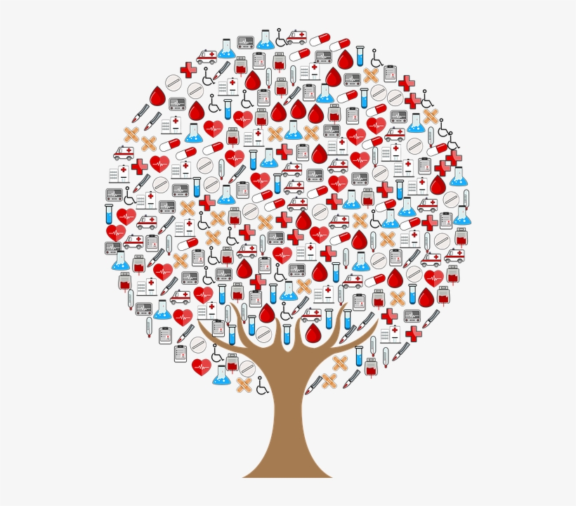 Albero Del Sangue, transparent png download