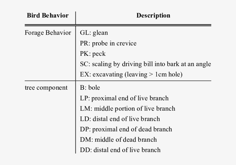 Behavioral Information Collected During Each Foraging, transparent png download
