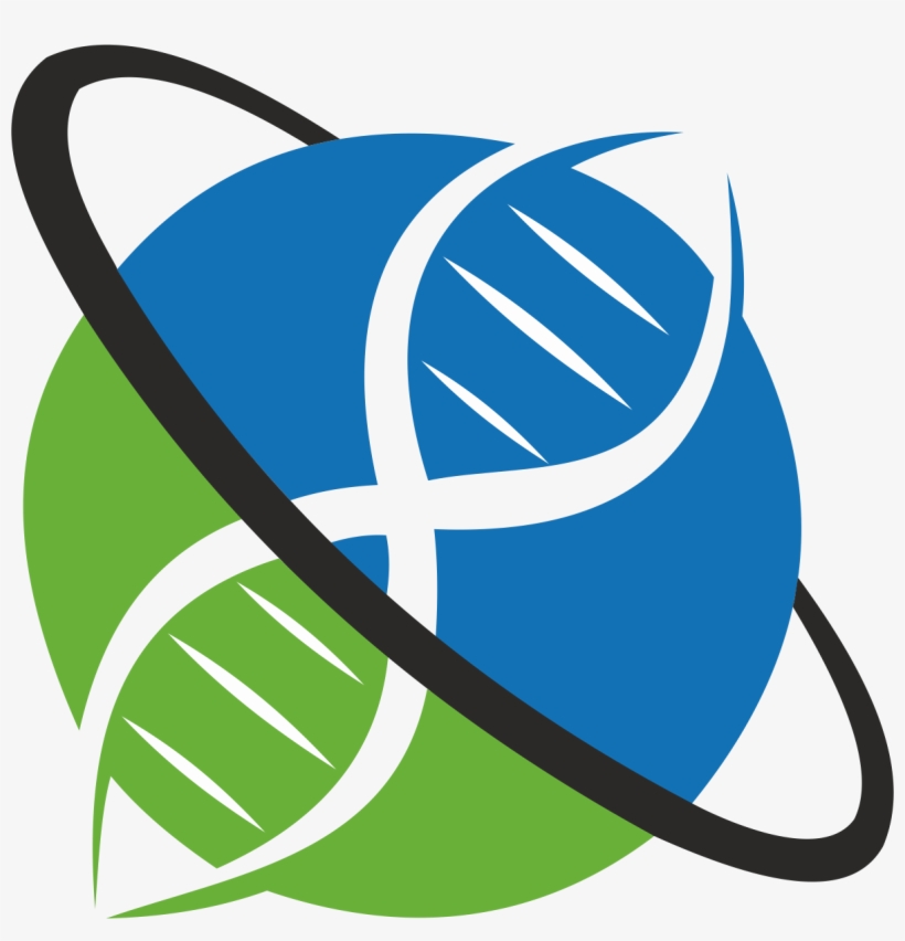 Nismo Logo Png, transparent png download