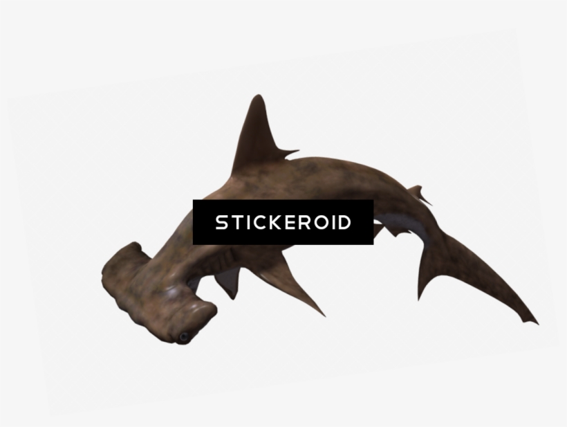 Shark Animals, transparent png download