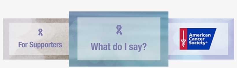 To Search For The Answer To A Certain Question, Simply, transparent png download