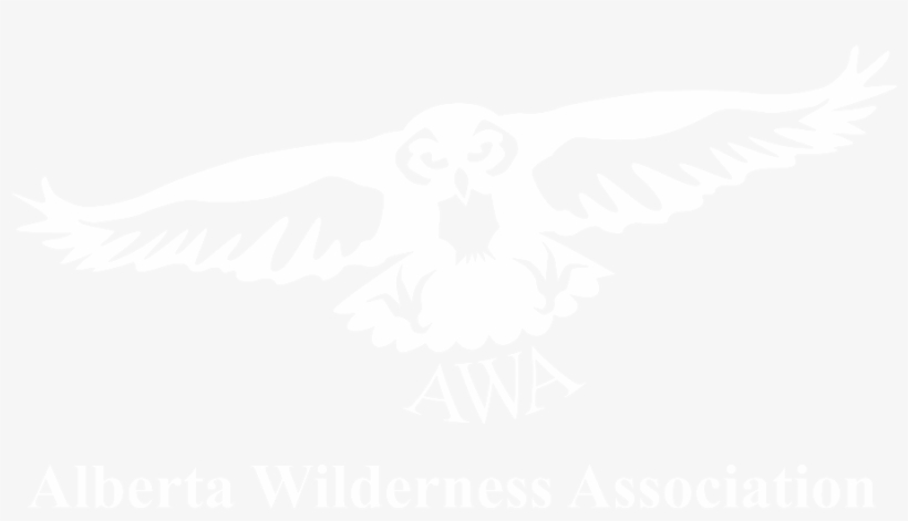 Who Is Working To Save Caribou, transparent png download