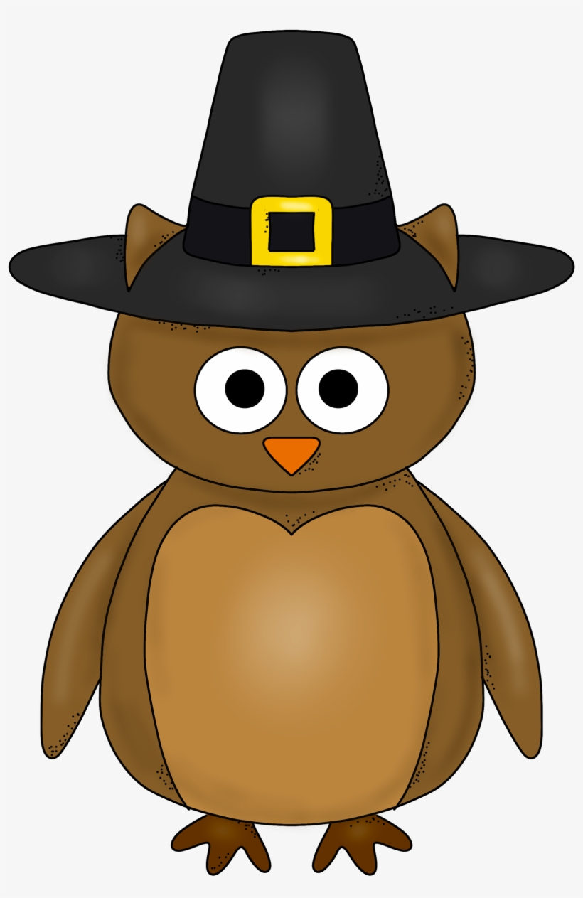 Owl, transparent png download