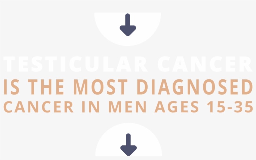 Mo-testicularcancer, transparent png download