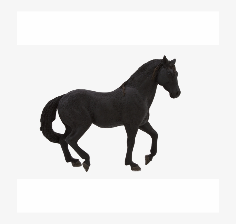 Animal Planet Andalusian Aygırı Siyah, transparent png download