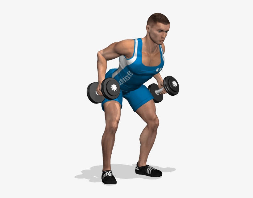Dumbell Png, transparent png download