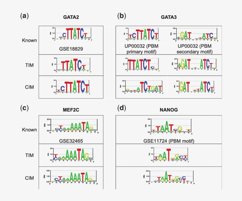 Motifs Were Identified By Homer Which Was Separately, transparent png download