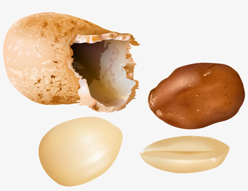 Peanut Png, transparent png download