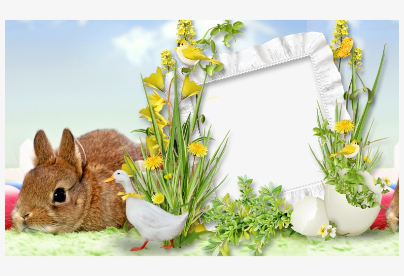 Easter Frames Png, transparent png download