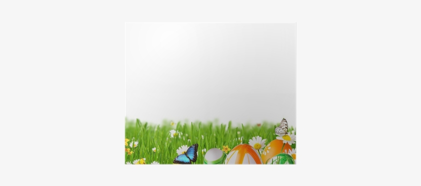 Pasto, Colombia, transparent png download