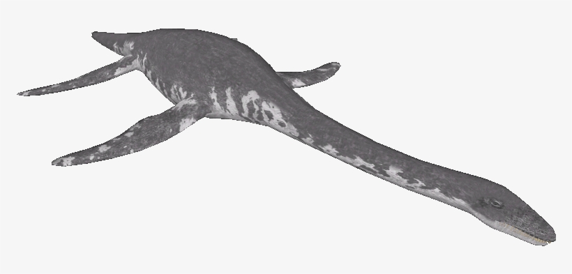 Loch Ness Monster - Marine Invertebrates, transparent png download