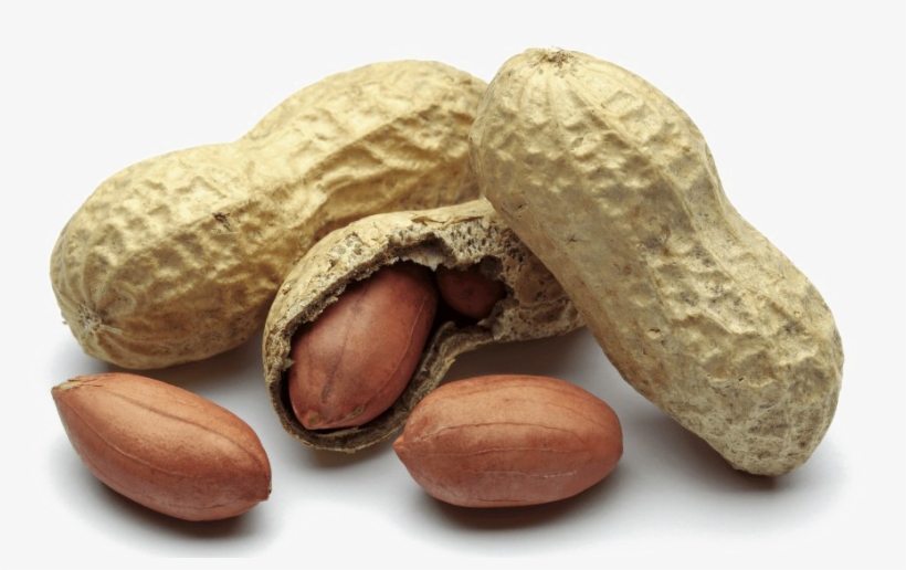 Peanut Png Free Download - Peanut, transparent png download