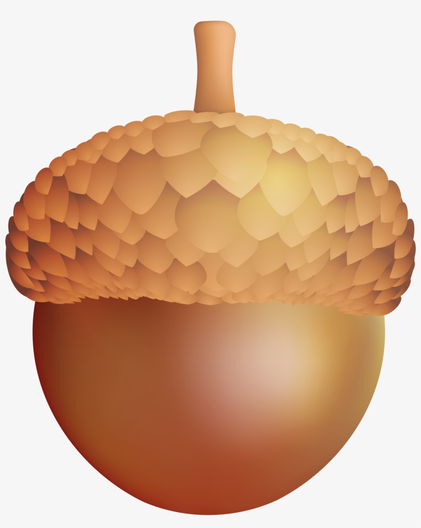 Png Clip Art Image Gallery Yopriceville High - Ackorn Clipart, transparent png download