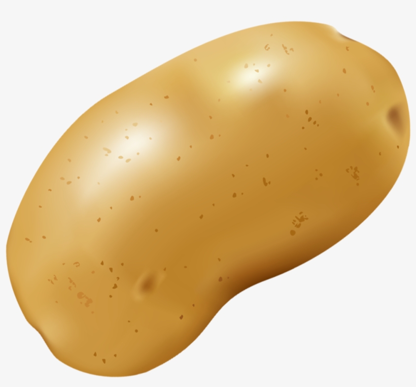 Фото, Автор Soloveika На Яндекс - Spaghetti Squash Clipart With No Background, transparent png download