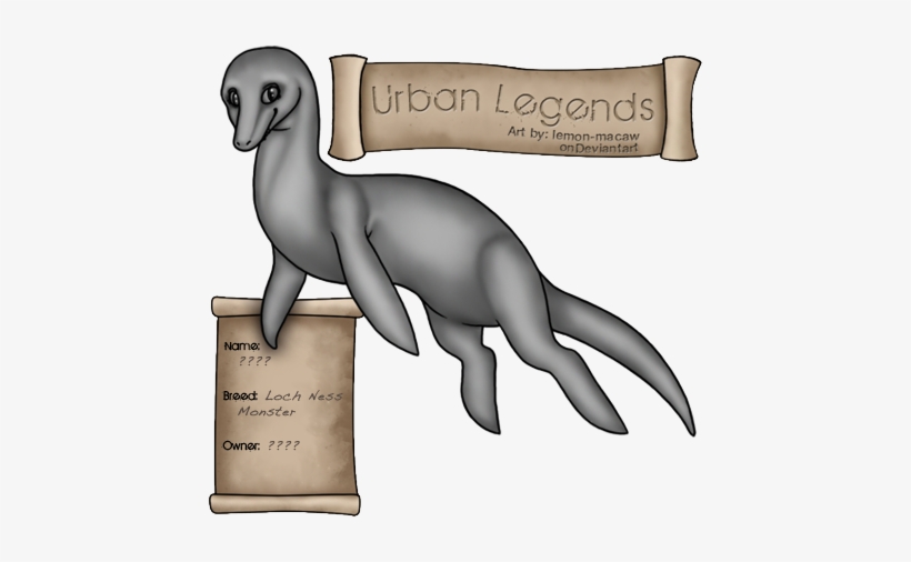 Female - California Sea Lion, transparent png download