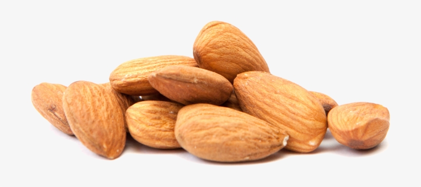 Almond Png Transparent Free Images - Almond Png, transparent png download