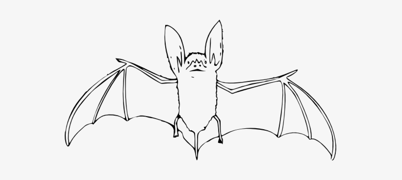 Bat Black White Art Elish Halloween 555px - Bat Clip Art, transparent png download