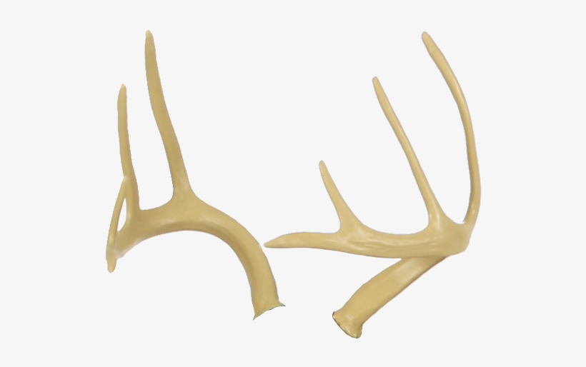 Deer Antlers - Antler, transparent png download