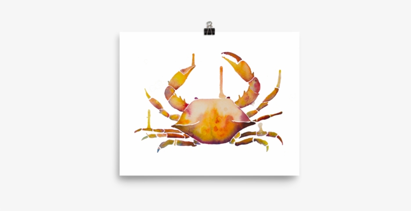 Seafood, transparent png download