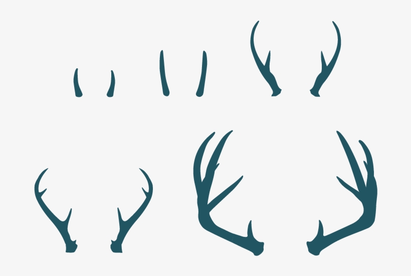 We're A Group Of Creatives, Strategists And Business - Antler, transparent png download