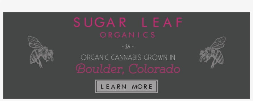 Subscribe Now - - Portable Network Graphics, transparent png download