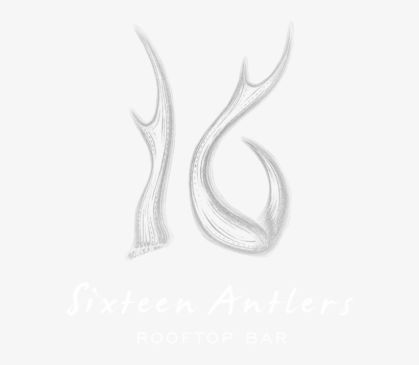 Sketch, transparent png download
