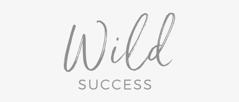 Wild Success - Un Tout Grand Merci - Livre, transparent png download