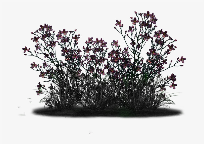 Magic Sparkles Fairy Dbj-pp - Bouquet, transparent png download